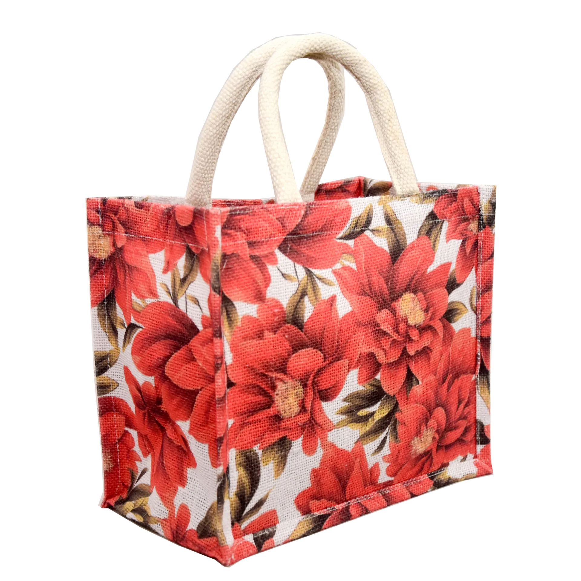Plain Jute Bag