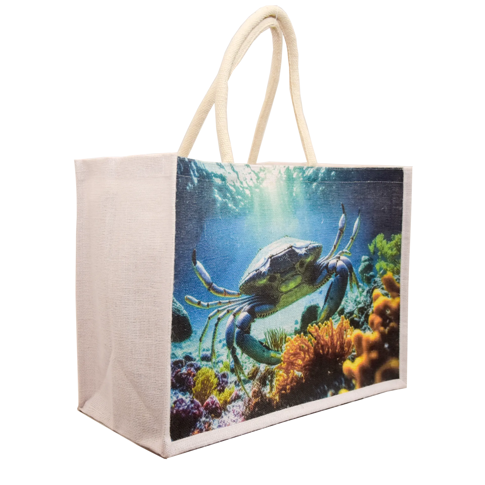 Plain Jute Bag
