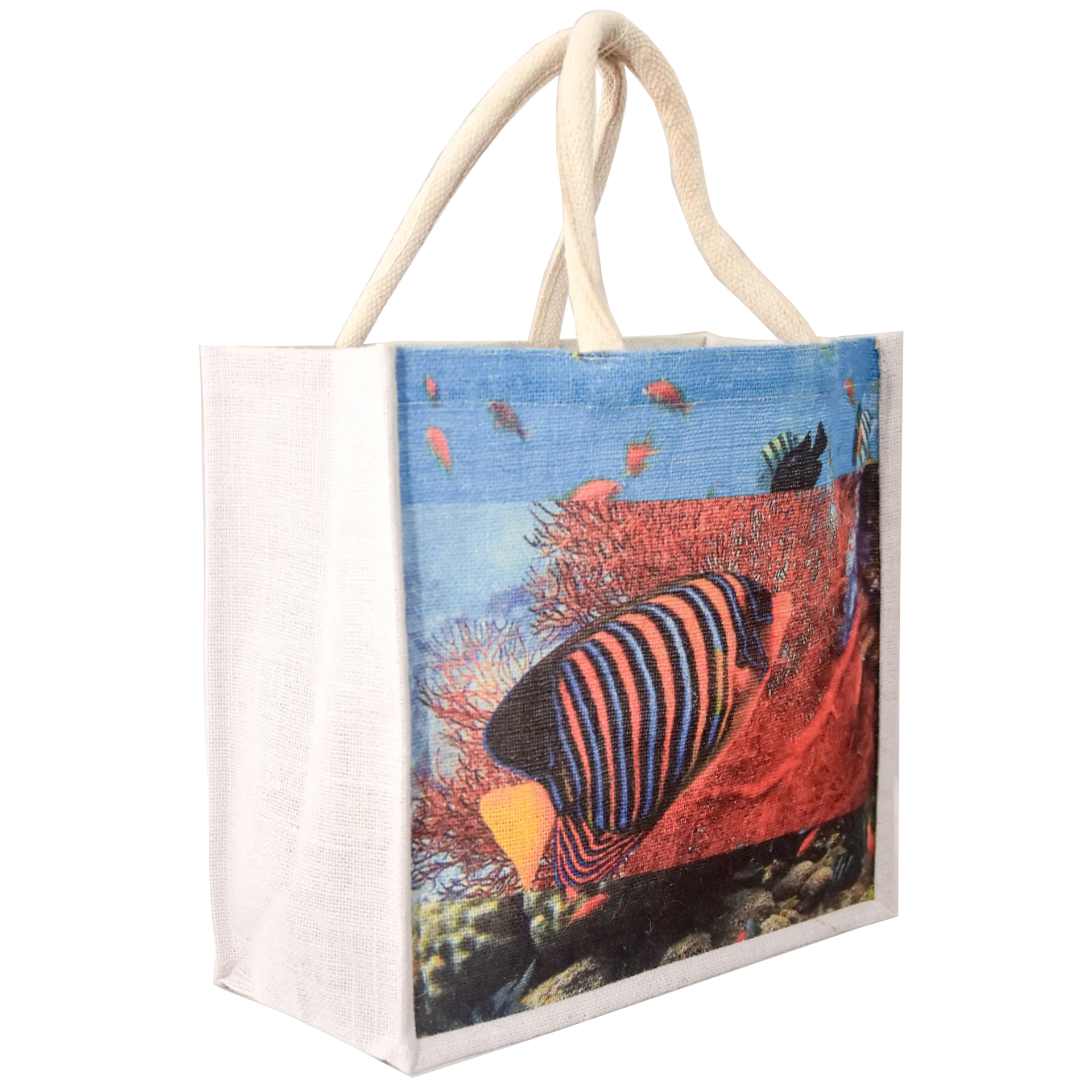 Natural Jute Bag