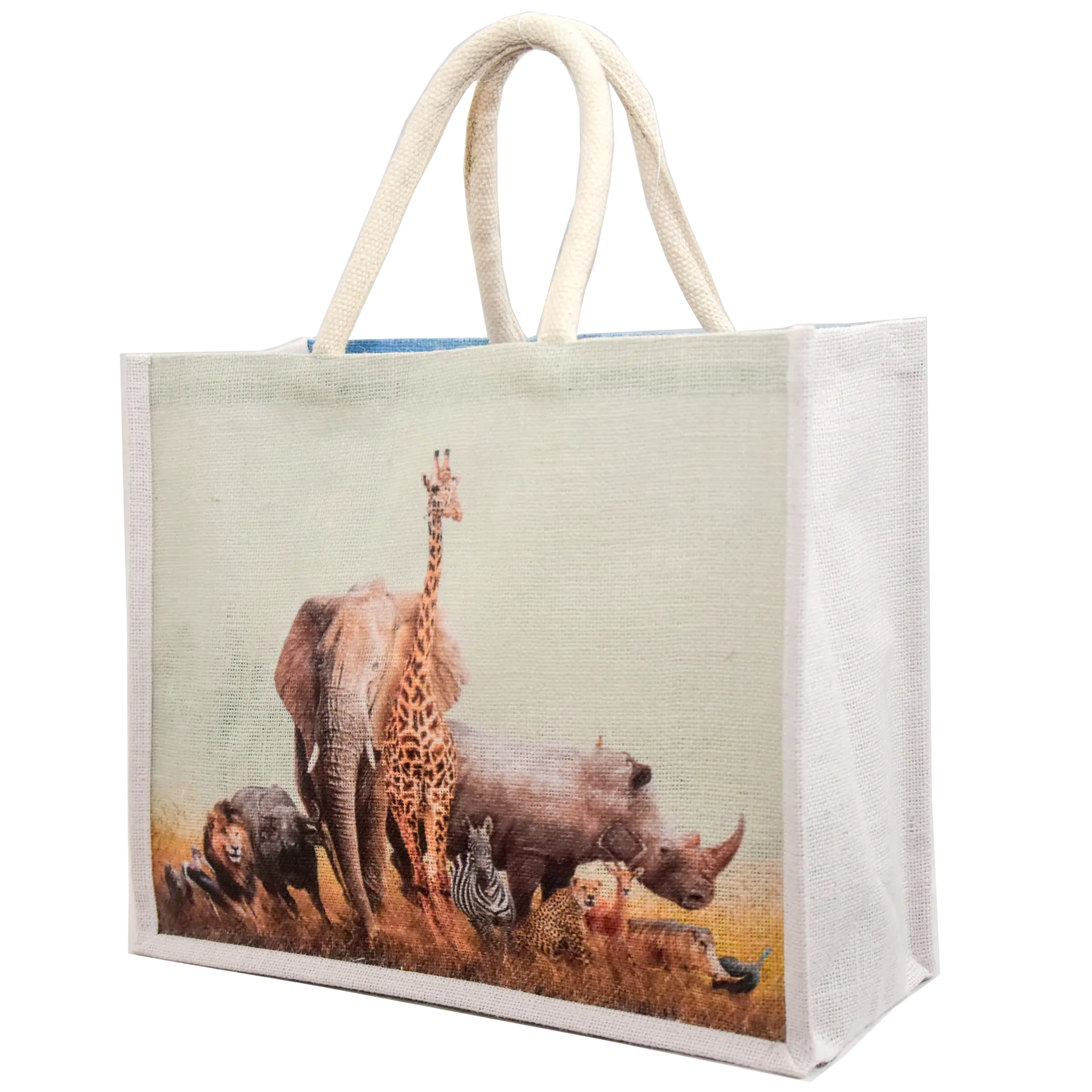 Plain Jute Bag
