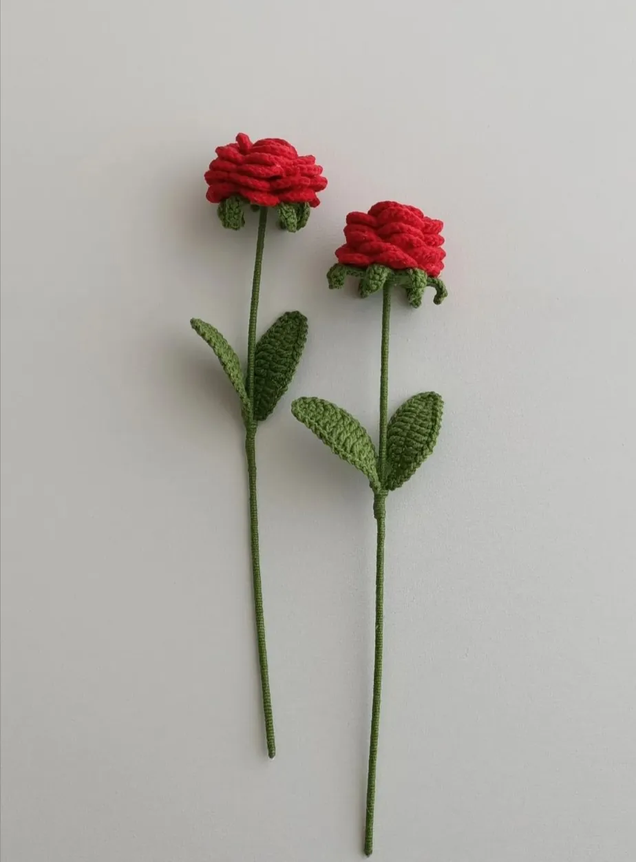 Crochet Roses
