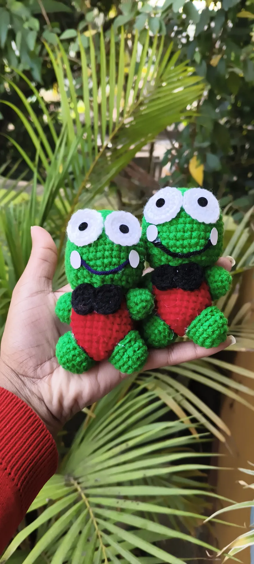 Crochet Frog Couple