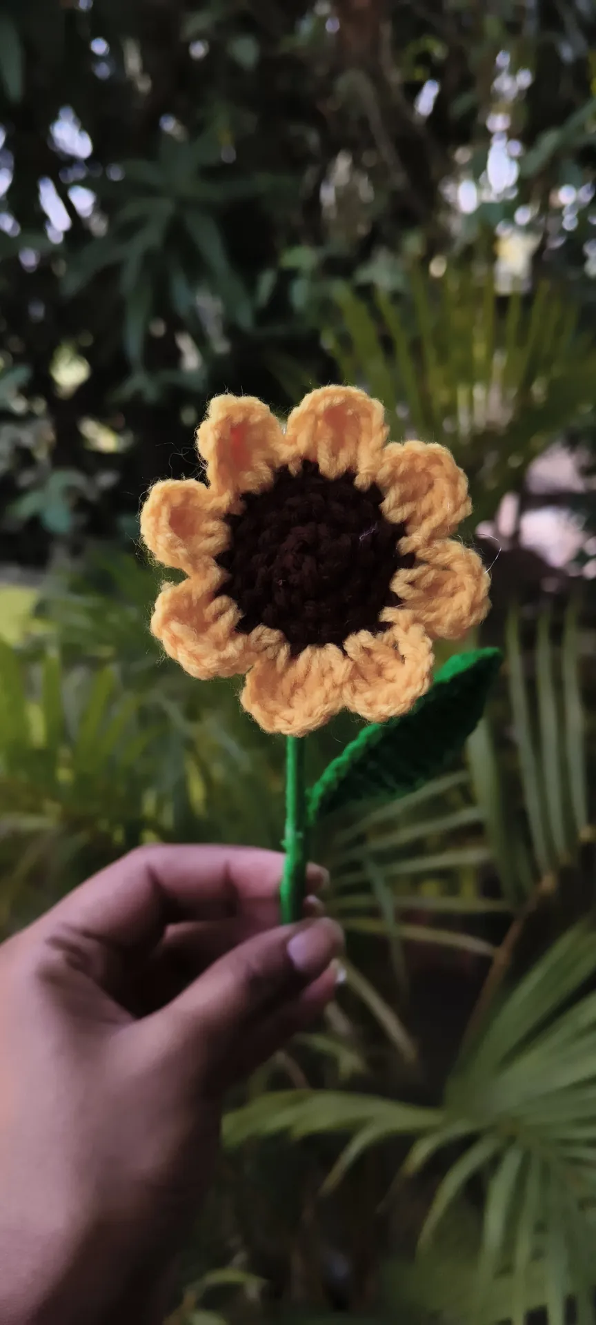 Crochet Rose
